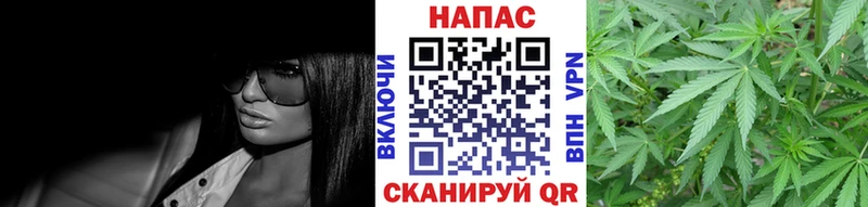 Купить закладки  Николаевск  Конопля AK-47 